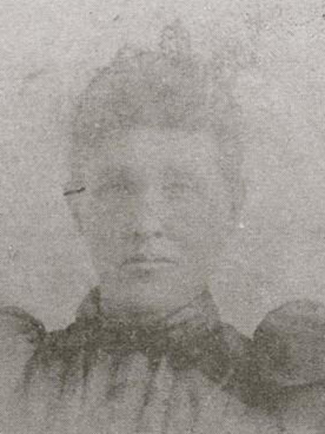 Helen Maria Webb (1845 - 1904) Profile